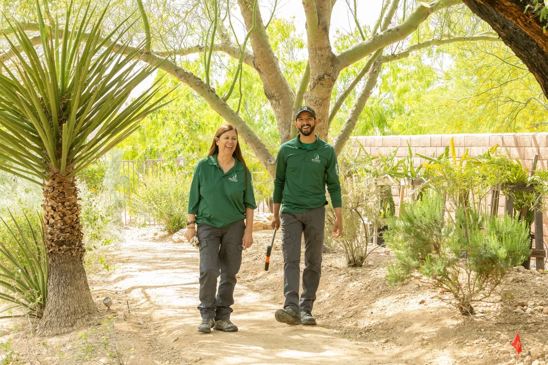 Professional Tree Maintenance