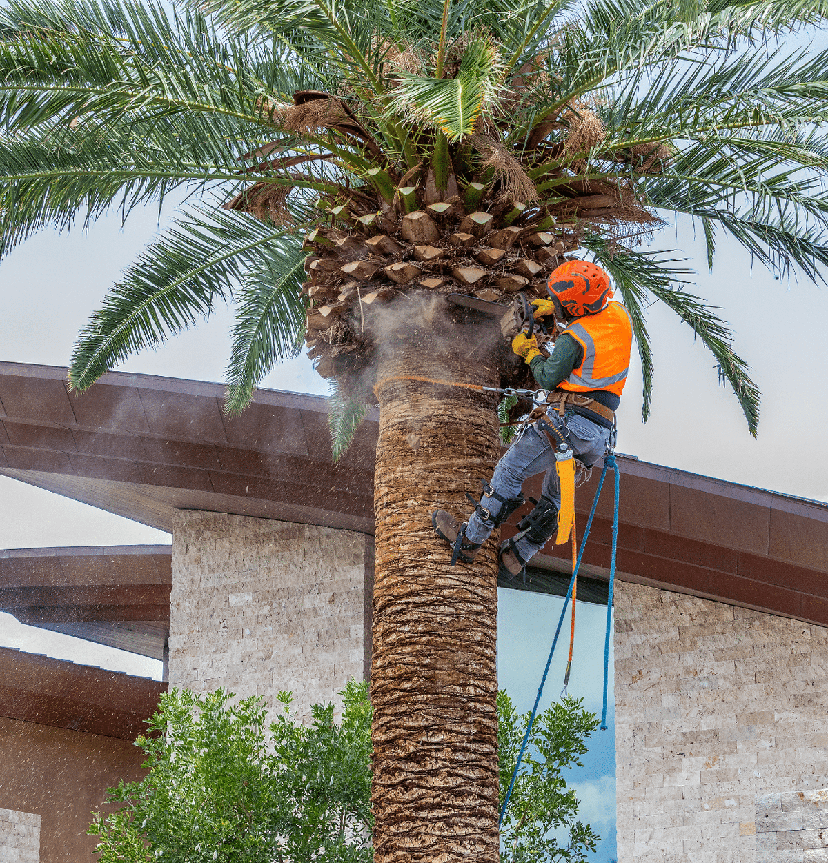 Benjamin's Tree Service Team